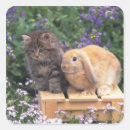 Search for rabbit ears stickers Nature