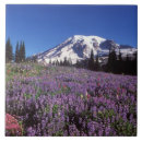 Search for mount rainier tiles Landscape