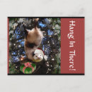 Search for possum christmas cards Humour