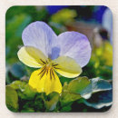 Search for perfect coasters Green
