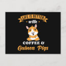 Search for guinea postcards Funny