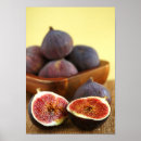 Search for fig art posters Garden
