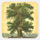 Search for oak trees stickers Vintage