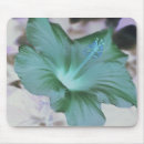 Search for hibiscus photo electronics Garden