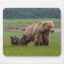 Search for baby twins electronics Bear