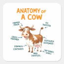Search for funny doctor stickers Veterinary