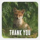 Search for fox baby stickers Woodland