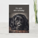 Search for funny 40th birthday cards Dog