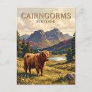Search for highland cow cards invites Scotland