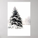Search for winter tree the posters Photography
