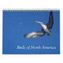 Search for pelican calendars Animals