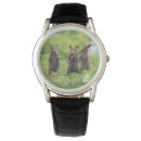 Search for bear watches Young animal