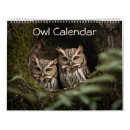Search for birds of prey calendars Owls