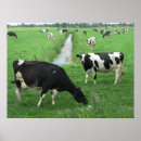 Search for dairy cow posters Landscape