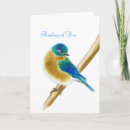 Search for bluebird of happiness cards Thinking of you