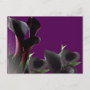 Search for calla horizontal postcards Bouquet