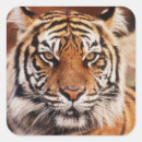 Search for large format stickers Adam jones