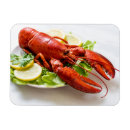 Search for lobsters magnets Seafood