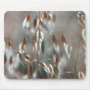 Search for ripe mouse mats Nature