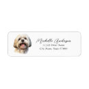 Search for apso White