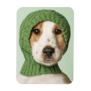 Search for cocker spaniel magnets Pet