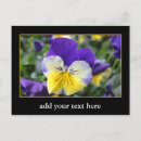 Search for diy invitations postcards Picture