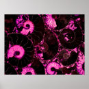 Search for nautilus posters Shell