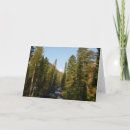 Search for cascade cards Forest
