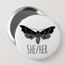 Search for insect badges Colorful
