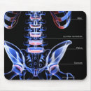 Search for x ray mouse mats Human body part