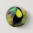 Search for tropical colours badges Exotic