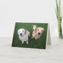 Search for blank cards Cute