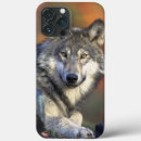 Search for wisdom iphone cases Nature