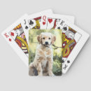 Search for dog playing cards Nature