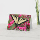 Search for ornithological cards Birds and blooms