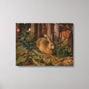 Search for hare canvas prints Forest