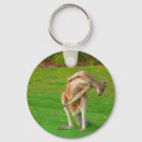 Search for wallabies key rings Kangaroo