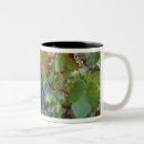 Search for grape vineyard mugs France