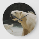 Search for polar bear clocks Wildlife