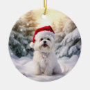 Search for maltese dog christmas tree decorations Keepsake