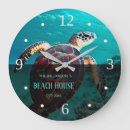 Search for turtle clocks Coastal