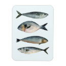 Search for four animals magnets Fish
