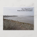 Search for elfin Nature