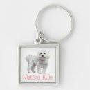 Search for maltese key rings Puppies
