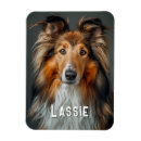 Search for dog magnets Pet photo