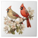 Search for male tiles Cardinal