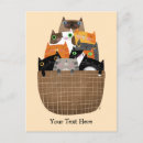 Search for shelter invitations Cats
