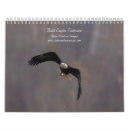 Search for eagle calendars Animals