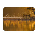 Search for bench magnets Nature