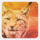 Search for bobcat stickers Wildlife